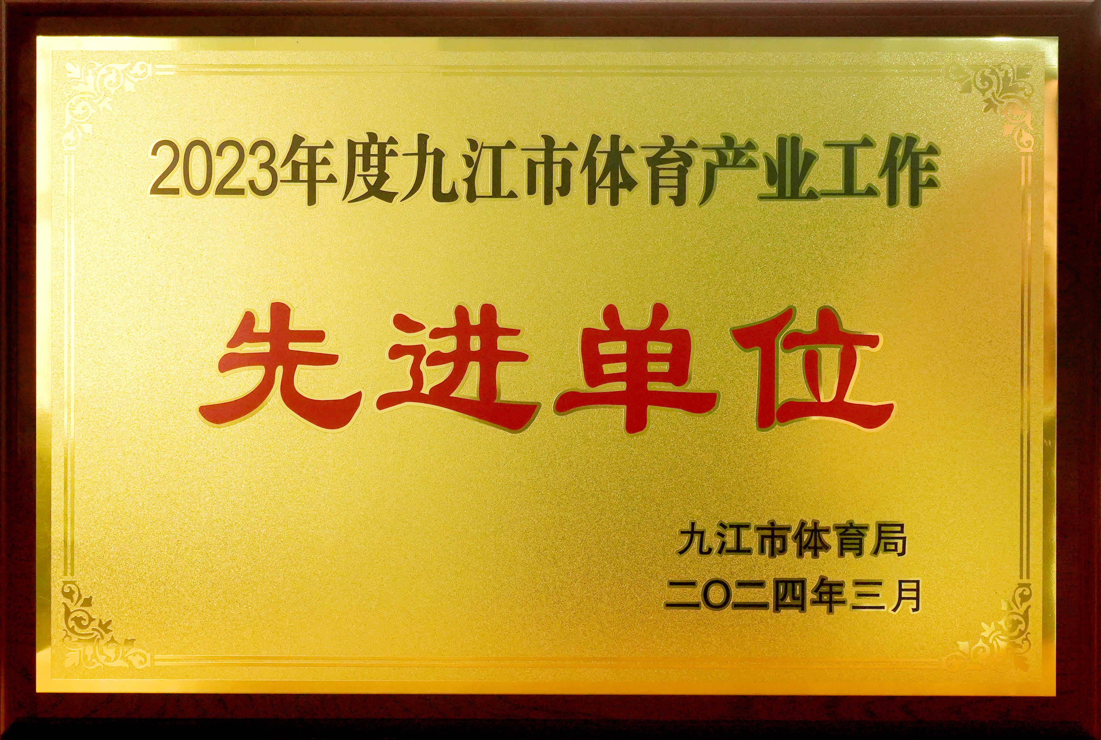 2023年度九江市体育产业工作先进单位